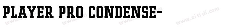 Player Pro Condense字体转换